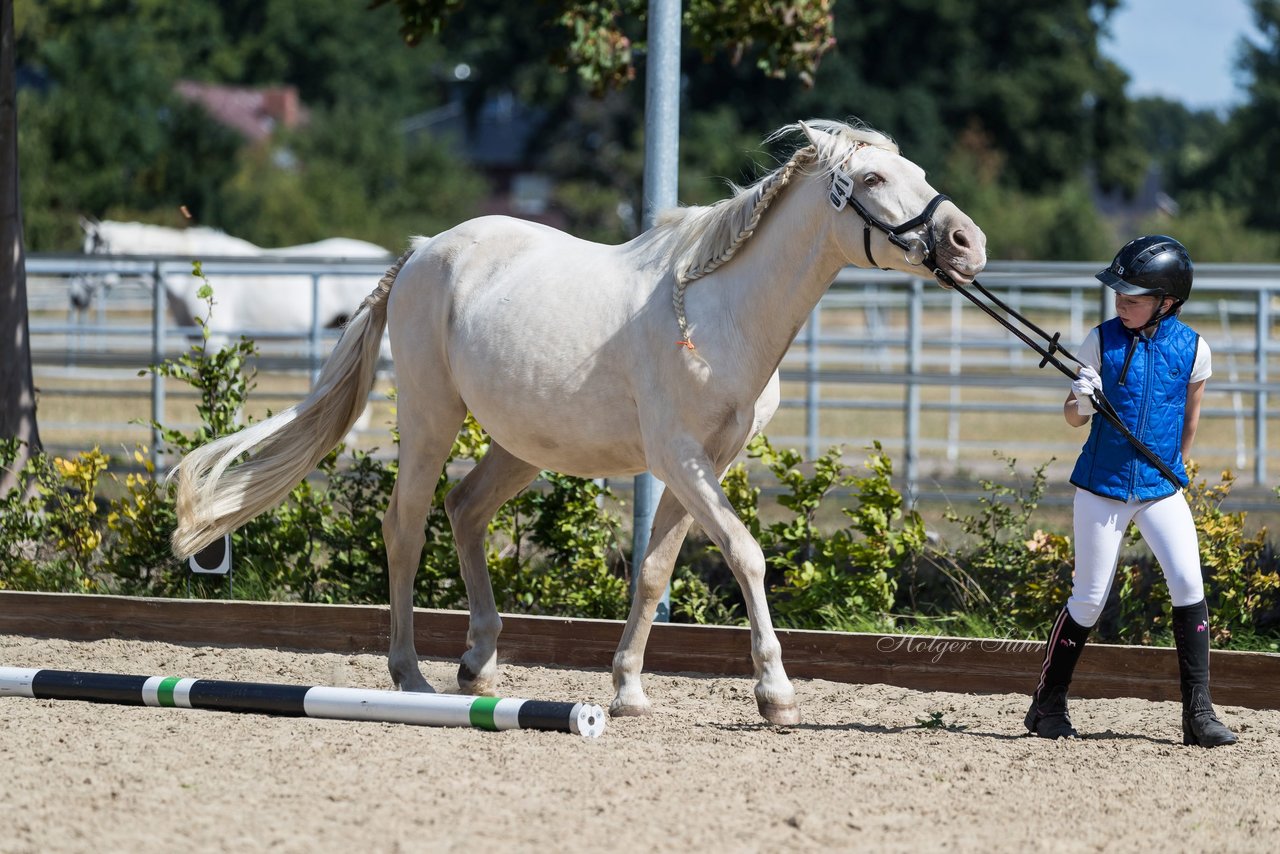 Bild 151 - Pony Akademie Turnier